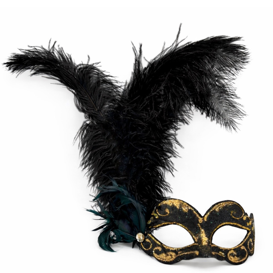 Bal masker met zwarte verenpluim